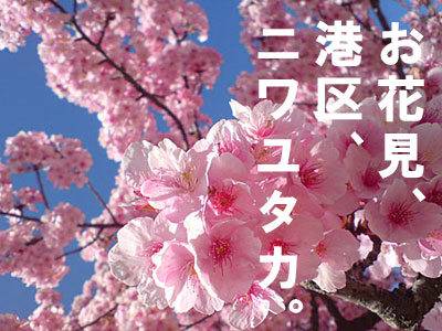 080406_hanami.jpg