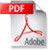 icon_pdf.jpg